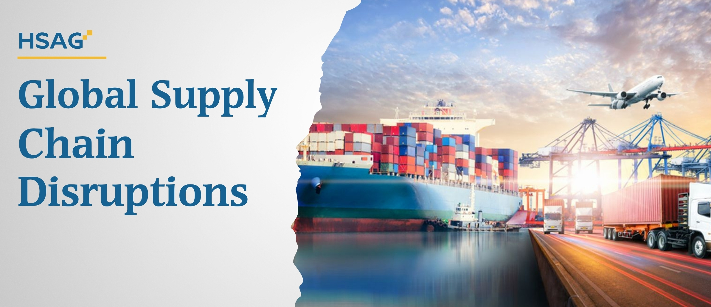 HSAG Global Supply Chain